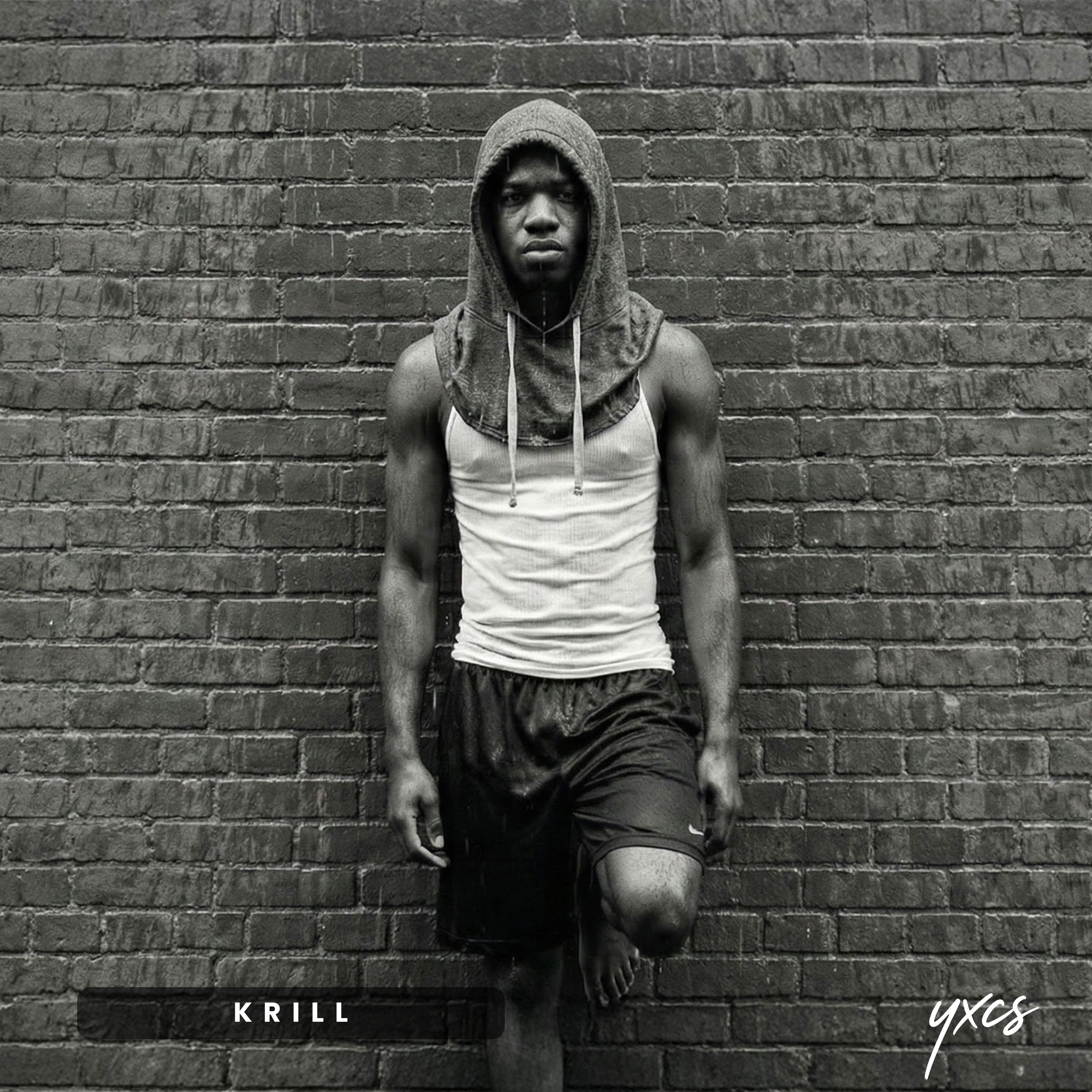 Krill